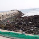 가나안민박 이미지