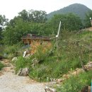 산야초농장