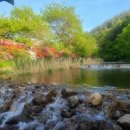 산골펜션 이미지