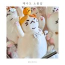 팰롱팰롱 | 제주도 소품샵 제주냥이스튜디오 &amp; 팰롱팰롱빛나는 | 마그넷찾아 삼만리 | 수제비누