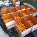 달콤하니 이미지