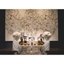 번영가든 | 청주 연가 첫돌 스냅 가격과 파티가든 이안 촬영 분위기 솔직 후기