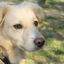 맑은 동물병원 이미지