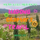 하동코스모스메밀체험민박 | 하동여행 Chapter.2 《하동 북천 코스모스 메밀꽃 축제》 하동 가을 축제 후기 주차 가격 개화상황 포토존