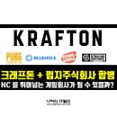 주식회사 펍지랩스 이미지