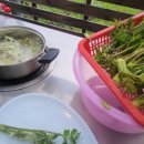 펜션백궁 이미지