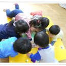 꼭꼭 숨어라 동물들아 이미지