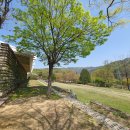 충청북도상당구 명암로 143 국립청주박물관(2024.04.13) II 이미지