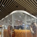 소금밭 교차로 3 | 판교 현대백화점 소금빵 팝업 :: 명란리 소금밭 오리지널 명란소금빵 솔직후기