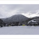 버스정류소_서귀포농협 이미지