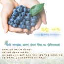 산들블루베리푸드