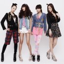 푸쉬푸쉬(PUSH PUSH) 이미지