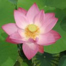 주천중학교 이미지