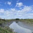 갯골생태공원 이미지