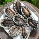 완도1호 | (전복 선물세트)완도1호 왕특대전복 2kg 사용 후기 - 고급스러움과 맛을 동시에