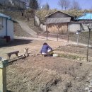 재은농장 이미지