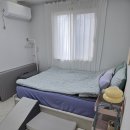 왈왈스테이 이미지