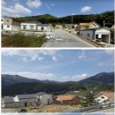 봉화서벽리마을 Daum카페
