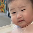 이마트둔산 티스토리