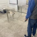 경임농장 이미지