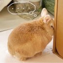 (주)폴리아트 | 10월 일상 기록 : 먹고 먹고 또 먹고