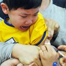 오늘의 포토뉴스[2008년 01월 23일] 이미지