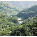 대광농장 이미지