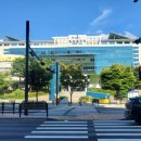 동구청 횡단보도 앞 이미지