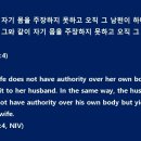 오손도손 티스토리