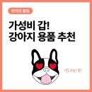 가성비 갑! 다이소 강아지 용품 추천 BEST10