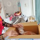 연일읍행정복지센터 이미지