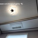 신트리로 이미지