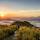 세품글로벌 이미지