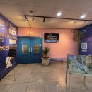 2뚝배기 | 김포 라베니체 스파게티 맛집 뚝배기이탈리아 내돈내산(2인 커플세트)후기