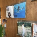 전주디저트카페 &lt;넛지&gt; 당일 수제 도넛과 이색적인 음료 판매 인스타 감성 신시가지 카페