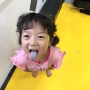 JE 양우합기도 이미지