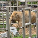 전북장애인복지수영장 | 세종 인근 가성비 동물원 전주동물원 지도 입장료 볼거리