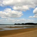 서해바다 이미지