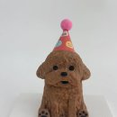 댕글로리 이미지