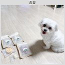 견공수라상 네이버블로그
