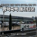 판다약국 | 평택 죽백동 대형 약국 [메가타운] 주말방문 후기