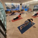 바디라인  필라테스 요가 이미지