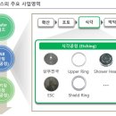 (주)월덱스