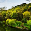 천안논산고속도로 탄천하행 휴게 이미지