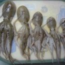 웰리스 클리닉 이미지