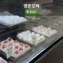 대전 빵지순례와 함께 필수코스 가성비 수제찹쌀떡 영춘모찌 평일 오픈런 방문후기