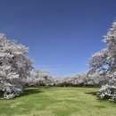 수양-0005 이미지