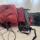 (판매완료) 제로그램 파피용DV 판매 이미지