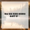 미소체형관리 네이버블로그