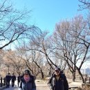 비밀의숲 이미지